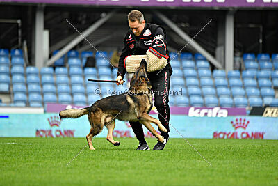 Life vom Kämpferherz