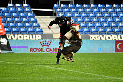 Life vom Kämpferherz