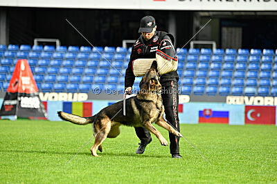 Life vom Kämpferherz