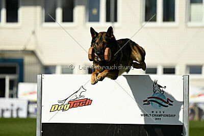 Life vom Kämpferherz