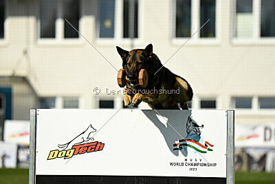 Life vom Kämpferherz