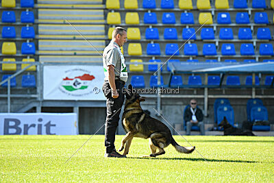 Life vom Kämpferherz