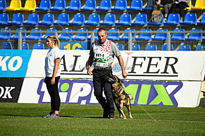 Life vom Kämpferherz