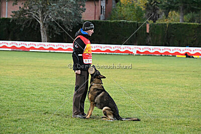 Life vom Kämpferherz