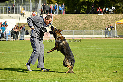 Little Joe von Trogida