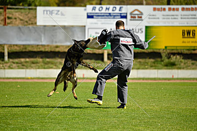 Little Joe von Trogida