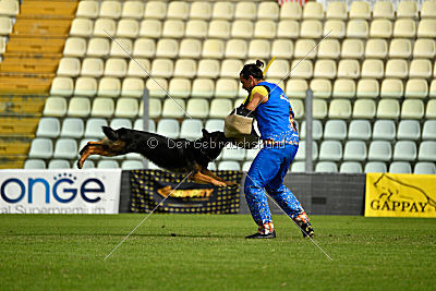 Logan von Berg Israel