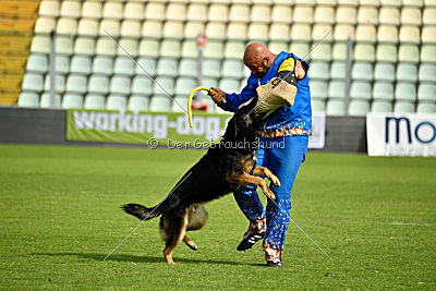 Logan von Berg Israel