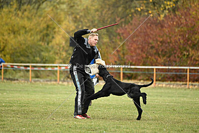Loki vom Hexenwald