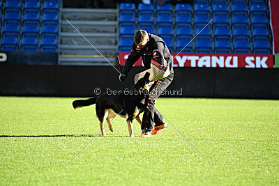 Louka von Bussardwald