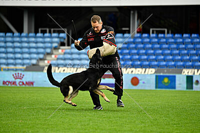 Luca von Djipy's Haus