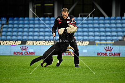 Luca von Djipy's Haus