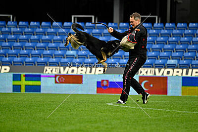 Luca von Djipy's Haus