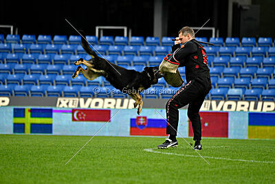 Luca von Djipy's Haus