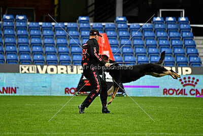 Luca von Djipy's Haus