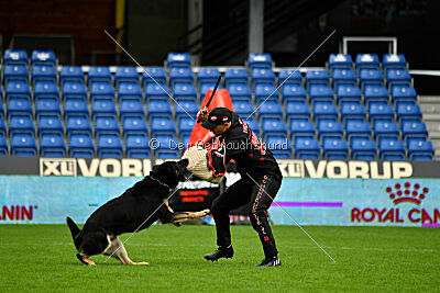 Luca von Djipy's Haus