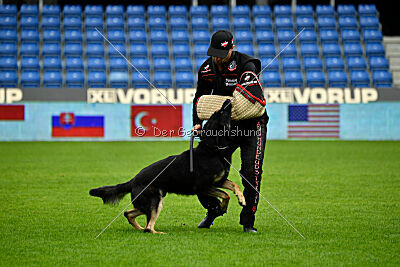 Luca von Djipy's Haus