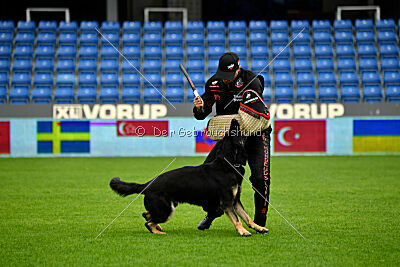 Luca von Djipy's Haus