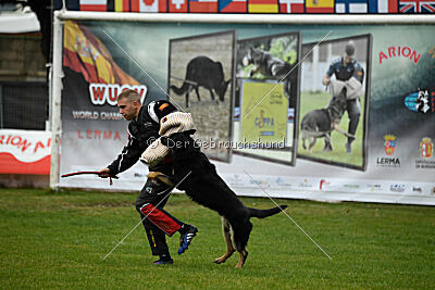 Luca von Djipy's Haus