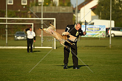 Lugh de l'origine de faucon rouge