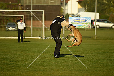 Lugh de l'origine de faucon rouge