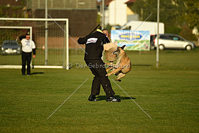 Lugh de l'origine de faucon rouge