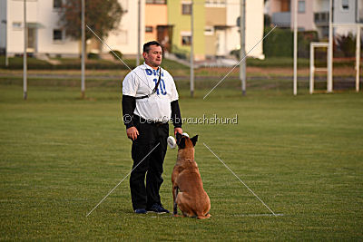Lugh de l'origine de faucon rouge