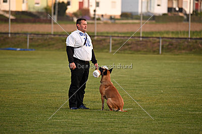 Lugh de l'origine de faucon rouge