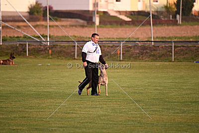 Lugh de l'origine de faucon rouge