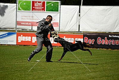 Luis vom Eisernen Kreuz