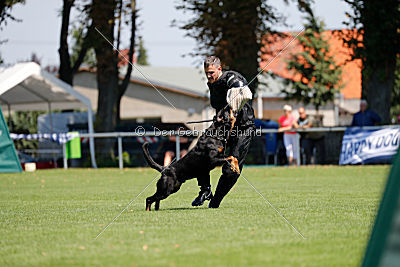 Luis von der Pulvermühle