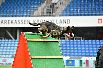 Lynxfelsen Coran
