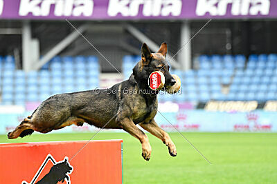 Lynxfelsen Coran