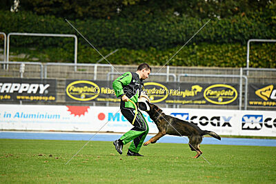 Lynxfelsen Coran
