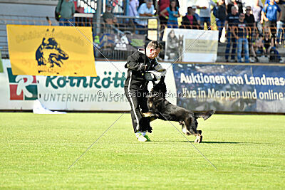 Lynxfelsen Gero
