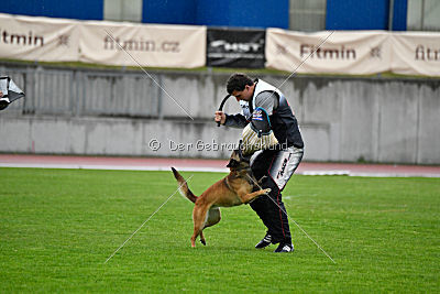 Lúa de la Plume de Neige