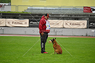 Lúa de la Plume de Neige