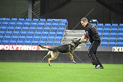 Mad Max von der Winterschal