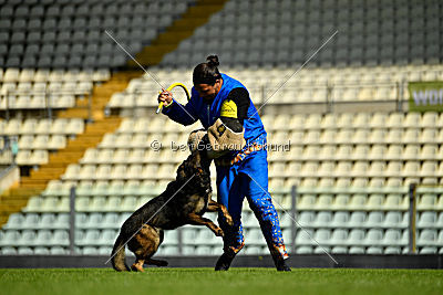 Maffia van Blutsenhof