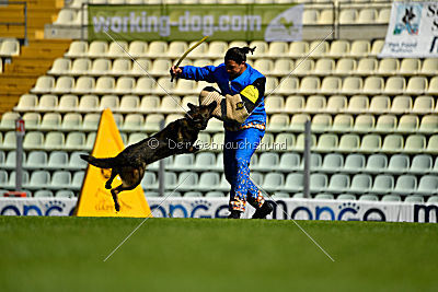 Maffia van Blutsenhof