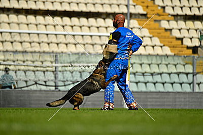 Maffia van Blutsenhof