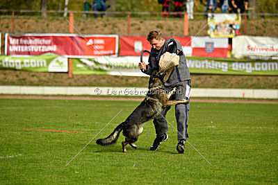 Magli z Kurimskeho haje