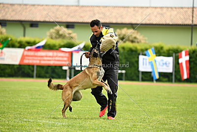 Magneslias Delta Force