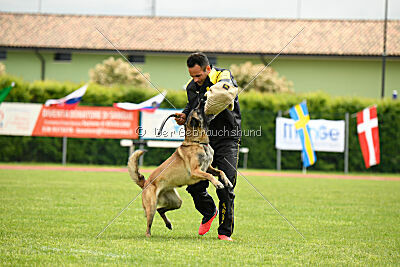 Magneslias Delta Force