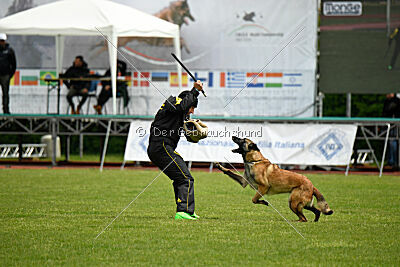 Magneslias Delta Force