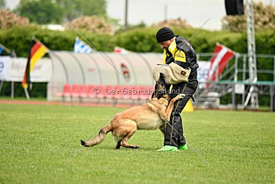 Magneslias Delta Force