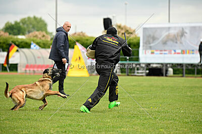 Magneslias Delta Force