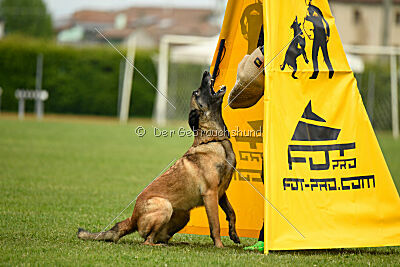 Magneslias Delta Force