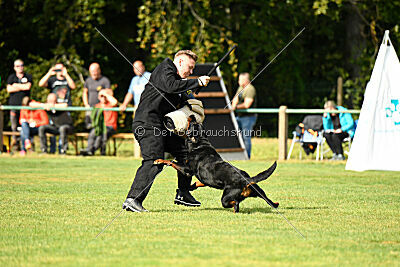 Magnus von der Fehnkolonie