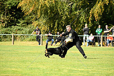 Magnus von der Fehnkolonie